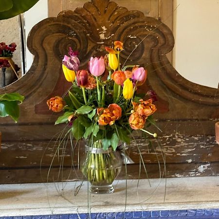 Bed and Breakfast Casale San Giorgio Luco Mugello Zewnętrze zdjęcie
