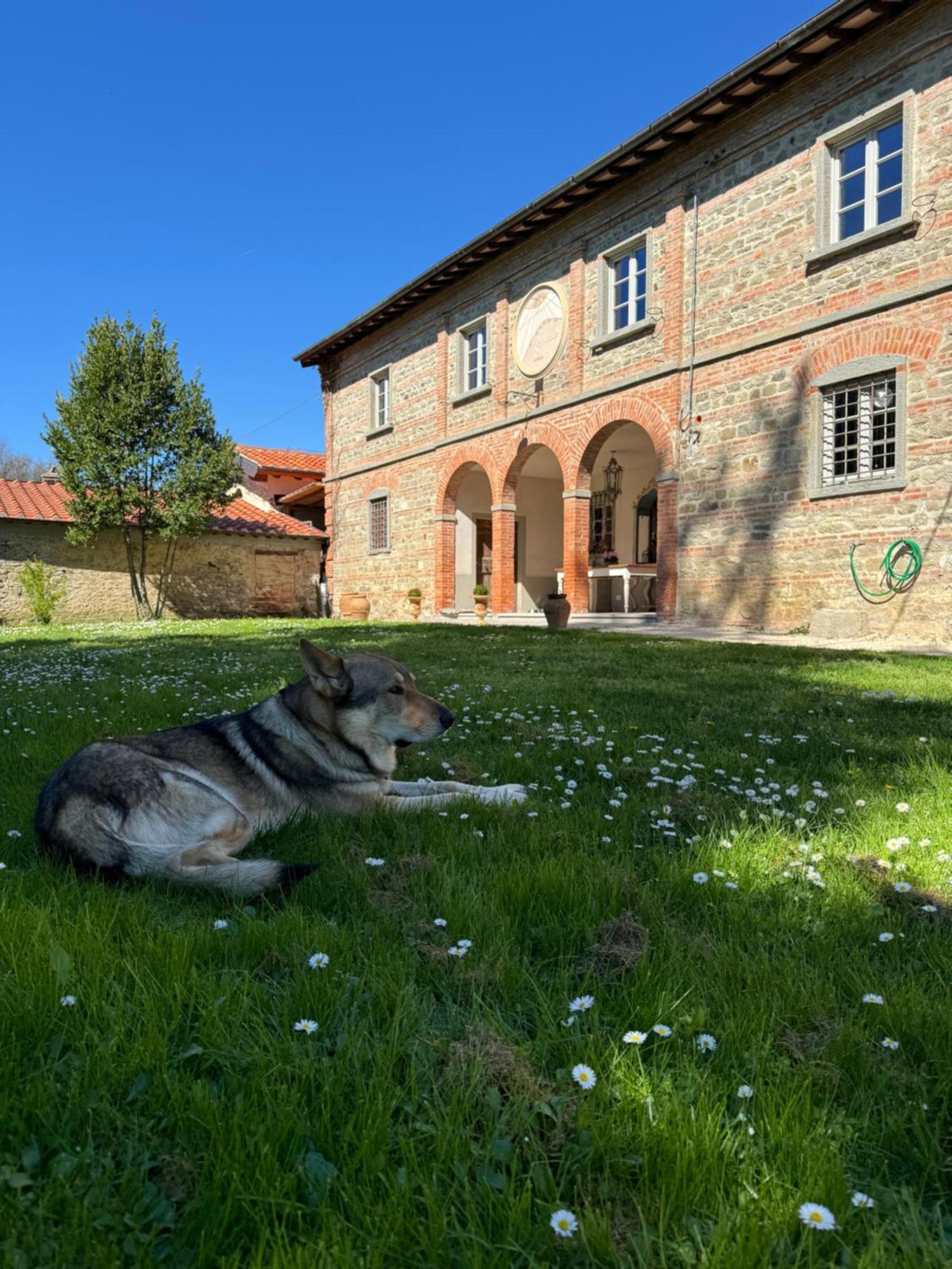 Bed and Breakfast Casale San Giorgio Luco Mugello Zewnętrze zdjęcie